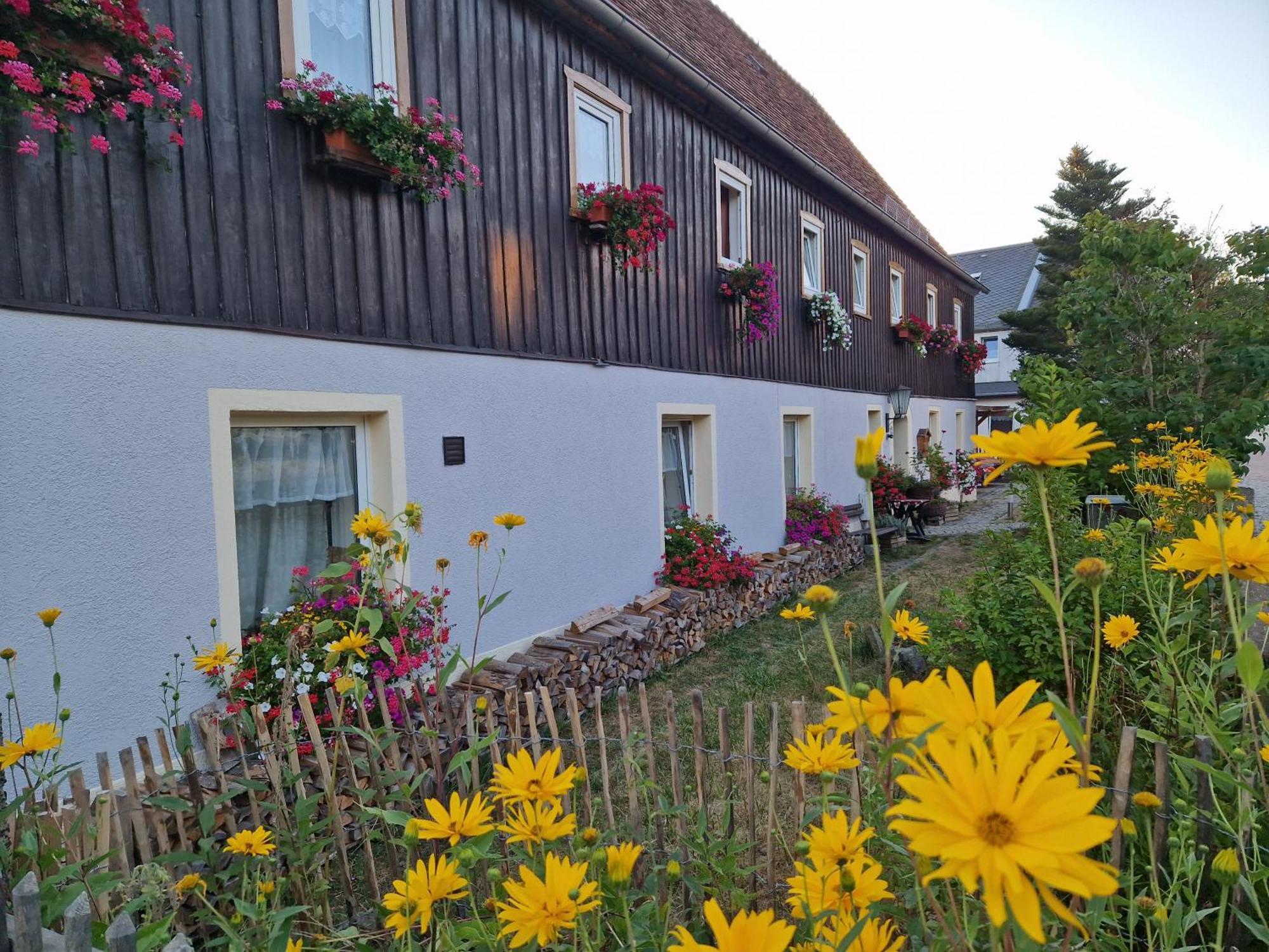 Ferienwohnungen Kleiner Kuhstall Kurort Gohrisch Exterior foto